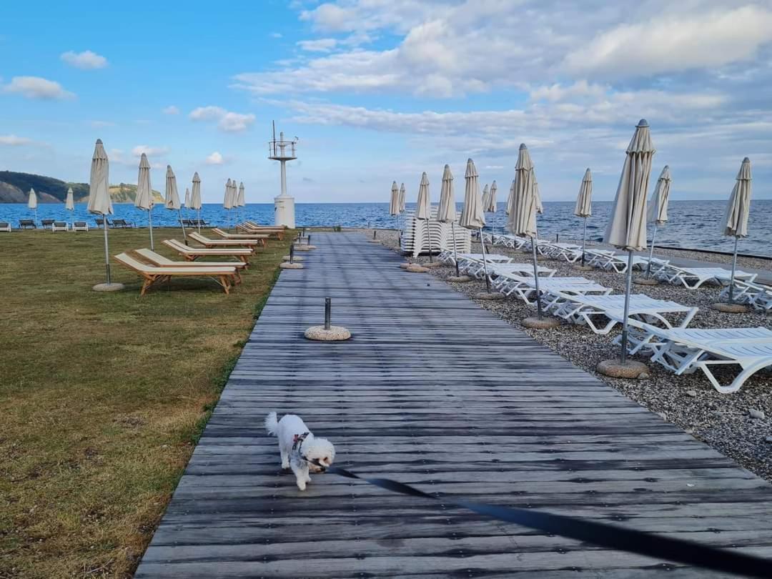 Apartmaji Soncek Ізола Екстер'єр фото